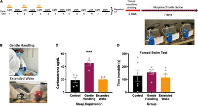 Chronic Sleep Deprivation Blocks Voluntary Morphine Consumption but Not Conditioned Place Preference in Mice